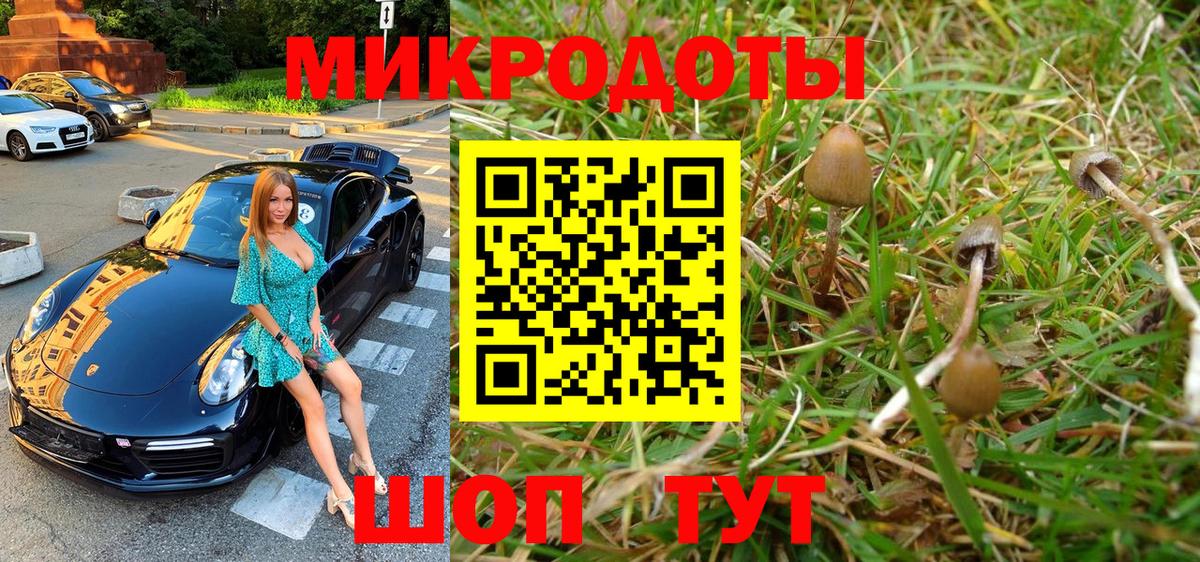 Кинель  Псилоцибиновые грибы Cubensis  Вход с VPN 
