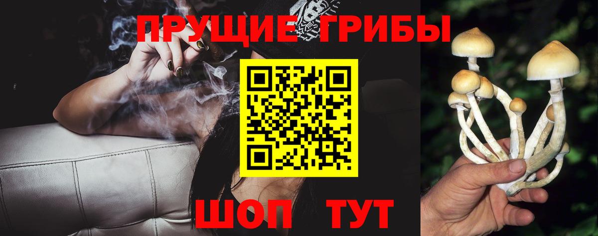 Псилоцибиновые грибы Psilocybine cubensis Кинель